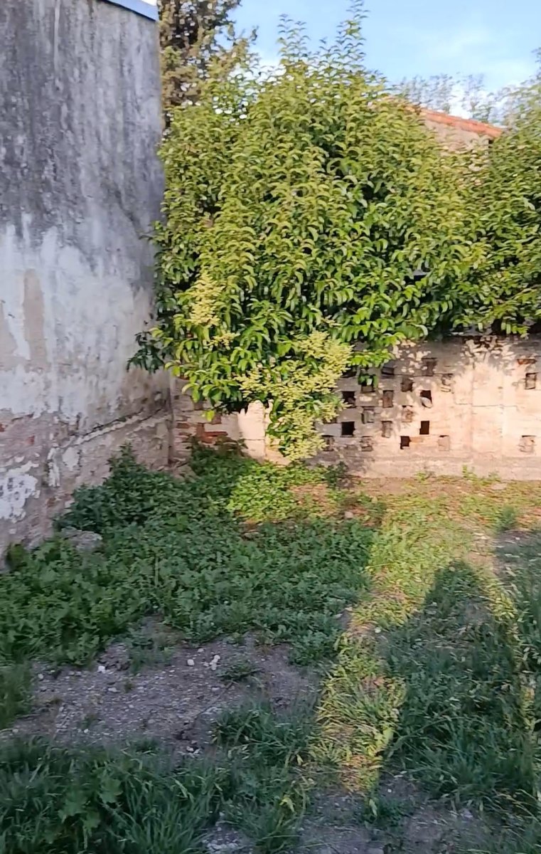 sector vehicular - 4 de 7