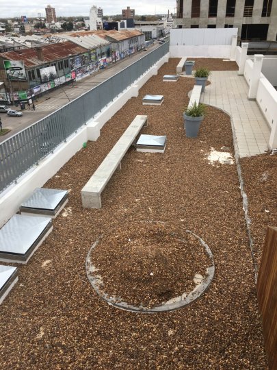 Departamentos - Rosario - Alquiler