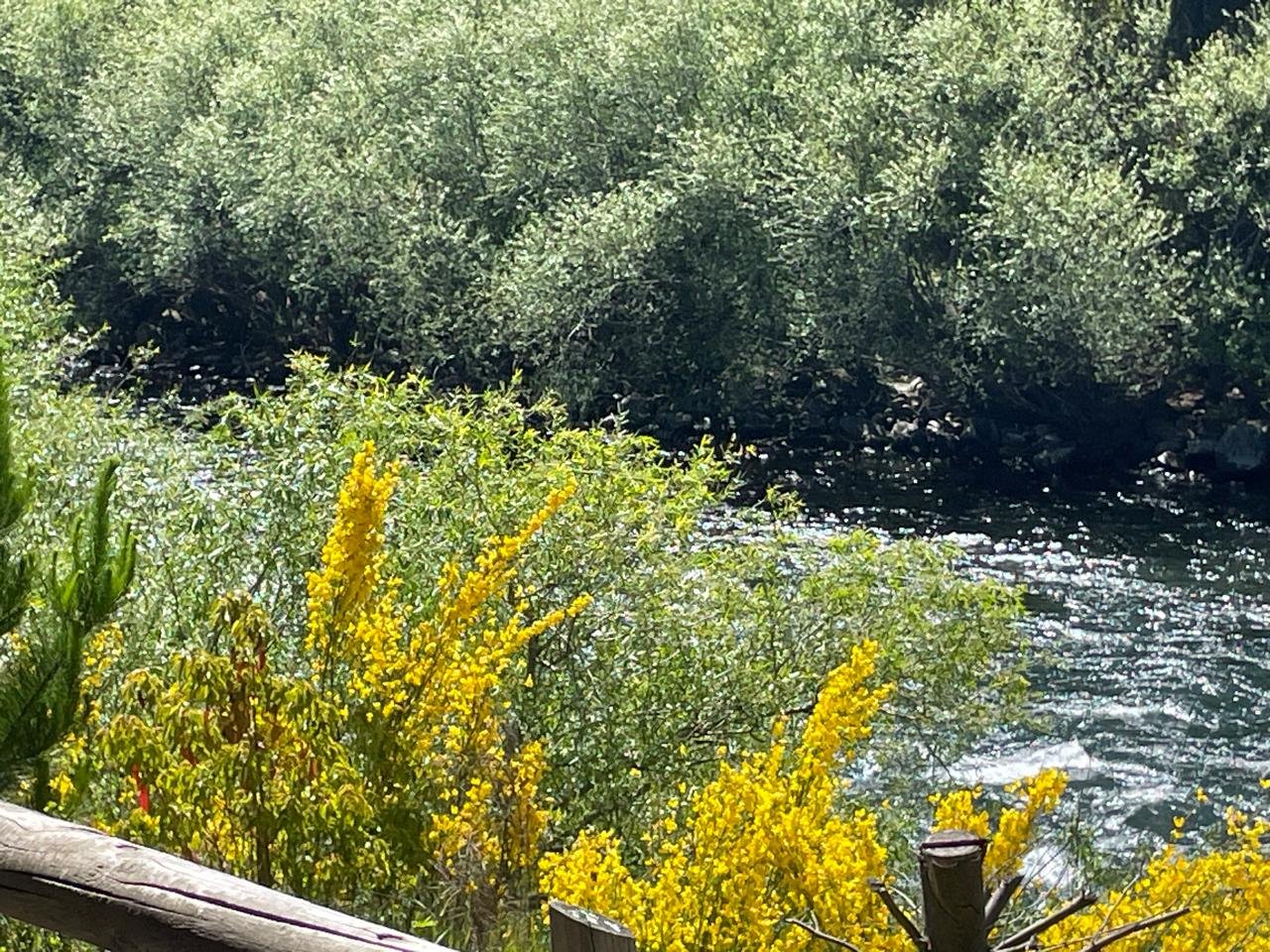 Venta Terreno Pucón - La Araucanía