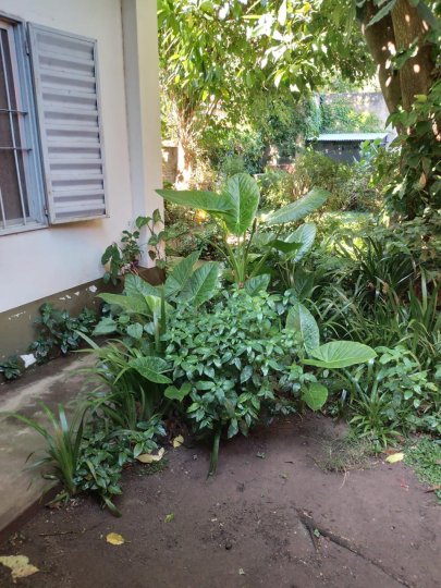 Casas - Rosario - Venta