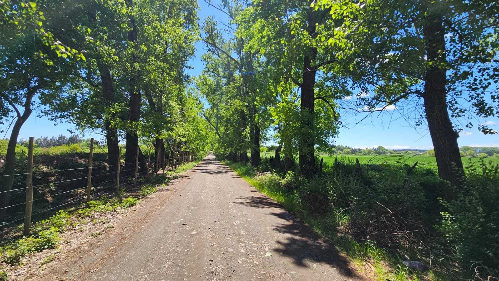 Venta Terreno Bulnes - Ñuble