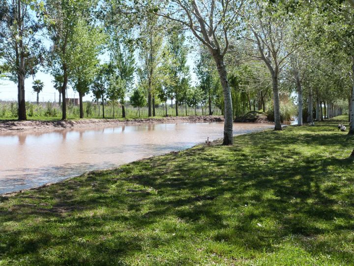 Terrenos - Piñero - Venta