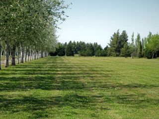 Terrenos - Piñero - Venta