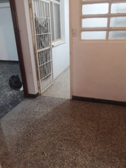 Departamentos - Rosario -  Alquiler