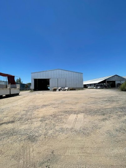 Galpones / Depósitos - Alvear -  Alquiler