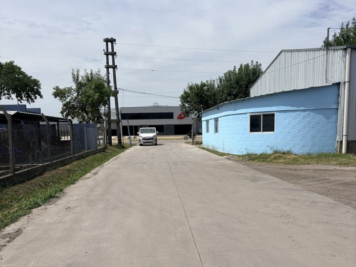 Galpones / Depósitos - Alvear -  Alquiler