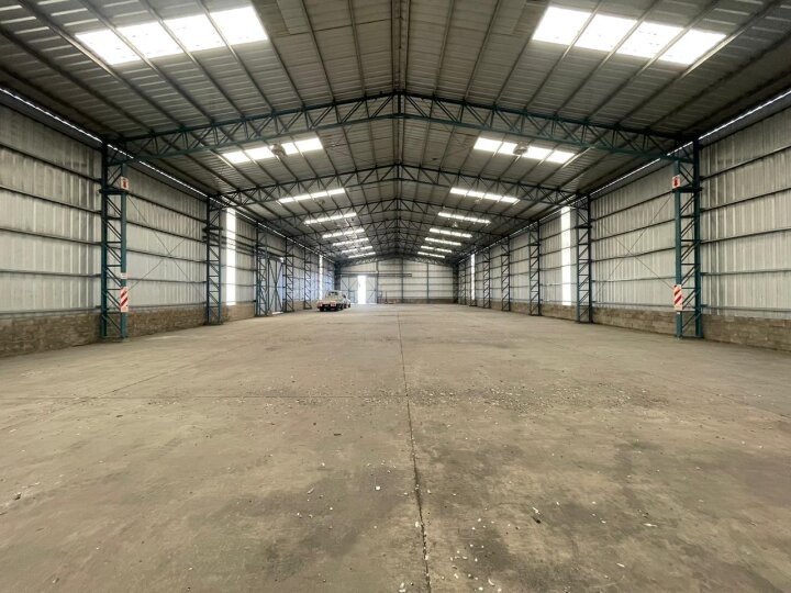 Galpones / Dep�sitos - Alvear -  Alquiler