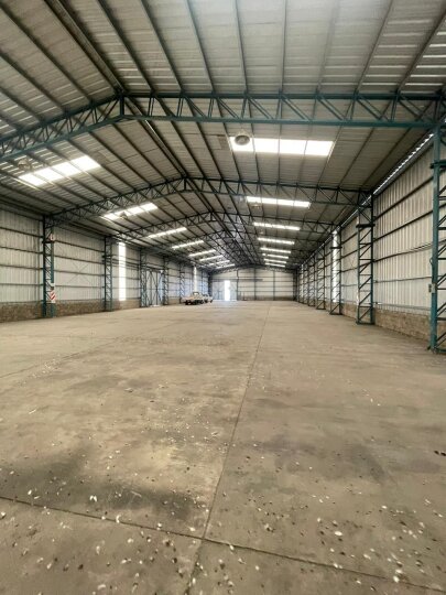 Galpones / Dep�sitos - Alvear -  Alquiler