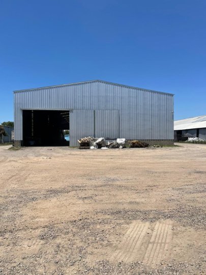 Galpones / Depósitos - Alvear -  Alquiler