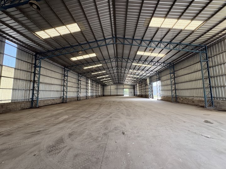 Galpones / Depósitos - Alvear -  Alquiler