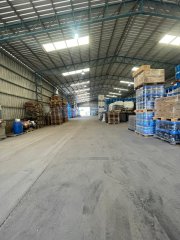 Galpones / Depósitos - Alvear -  Alquiler