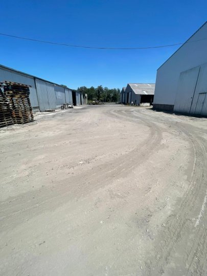 Galpones / Depósitos - Alvear -  Alquiler