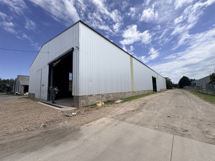 Galpones / Depósitos - Alvear -  Alquiler