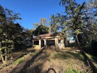 Campos - Otra Ciudad - Venta