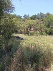 Terrenos - Otra Ciudad - Venta