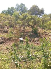 Terrenos - Otra Ciudad - Venta