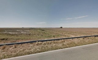 Campos - Otra Ciudad - Venta