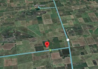 Campos - Otra Ciudad - Venta