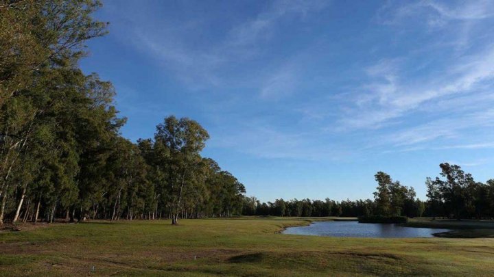 Terrenos - Iriondo - Venta