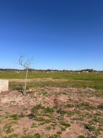 Terrenos - Funes - Venta