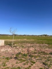 Terrenos - Funes - Venta