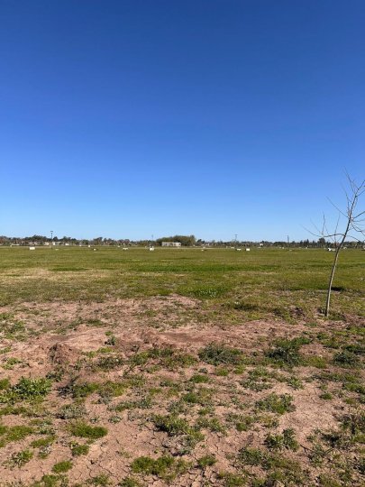 Terrenos - Funes - Venta