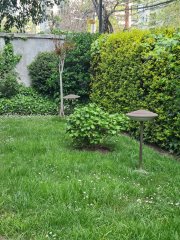 Foto 20