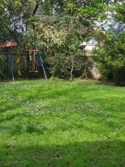 Foto 21