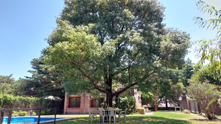 Casas - Roldan - Venta