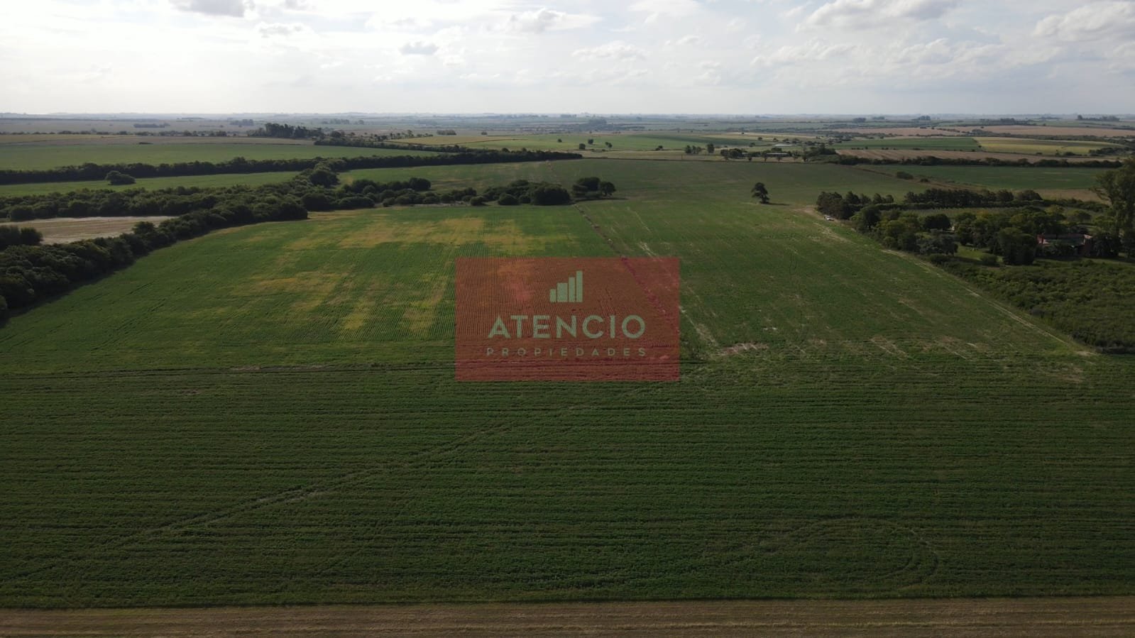 Campo agrícola de 16 hectáreas en Corrales - Proximo a Antelo – Entre Ríos - 5