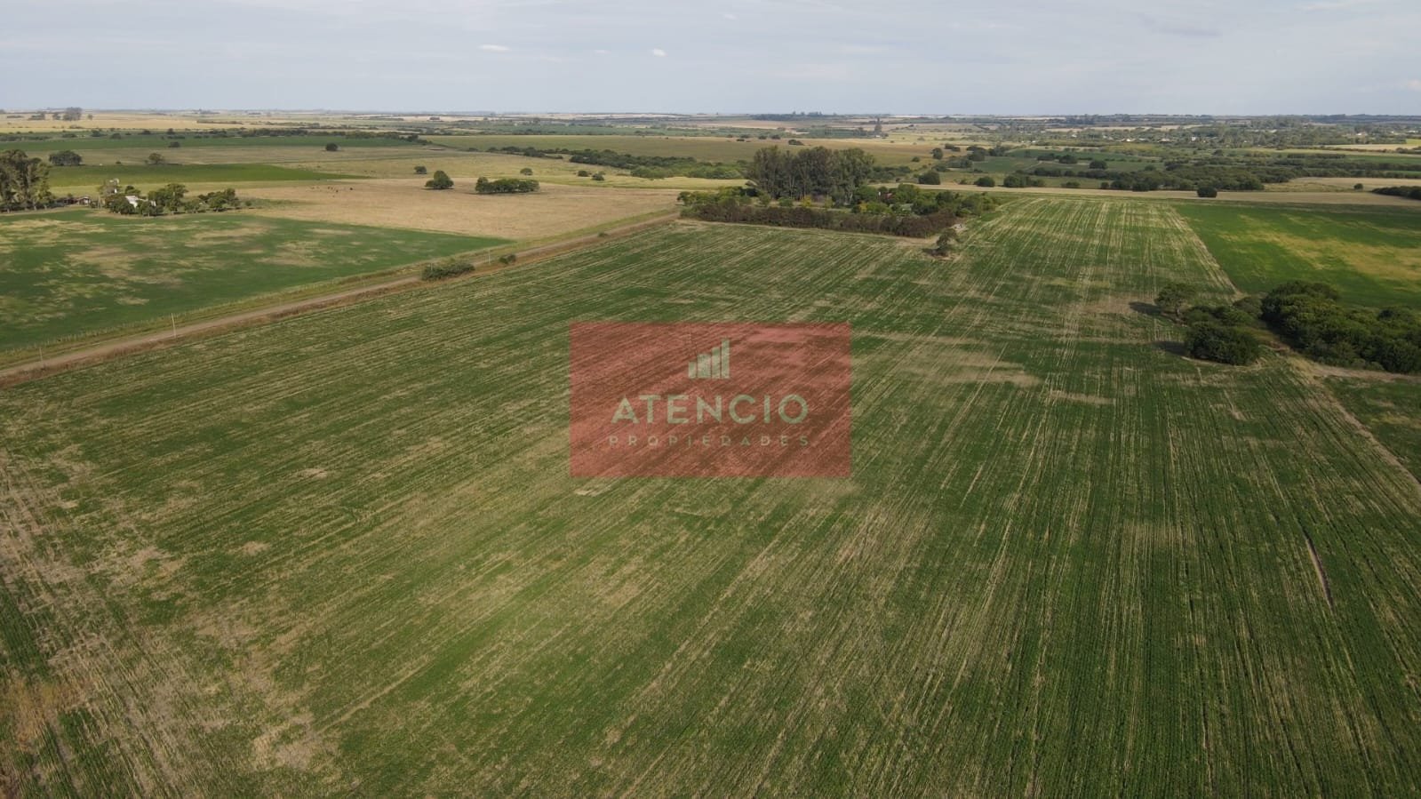 Campo agrícola de 16 hectáreas en Corrales - Proximo a Antelo – Entre Ríos - 8