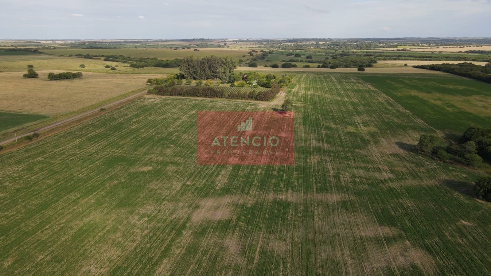 Campo agrícola de 16 hectáreas en Corrales - Proximo a Antelo – Entre Ríos - 10