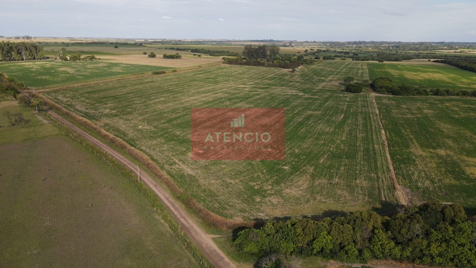 Campo agrícola de 16 hectáreas en Corrales - Proximo a Antelo – Entre Ríos - 7