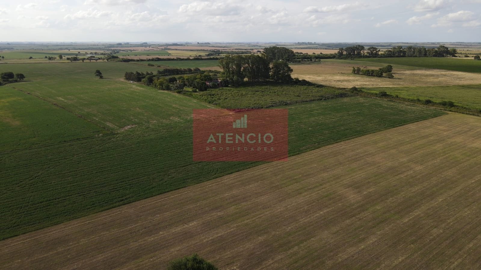 Campo agrícola de 16 hectáreas en Corrales - Proximo a Antelo – Entre Ríos - 2