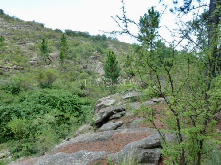 VENTA TERRENO ECO PUEBLO EL PINAR LOS HORNILLOS