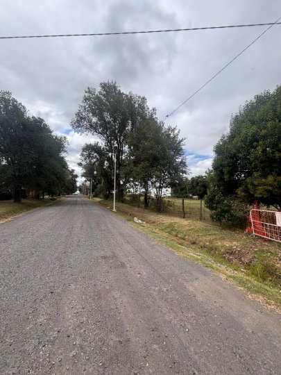 Terrenos - Ricardone - Venta