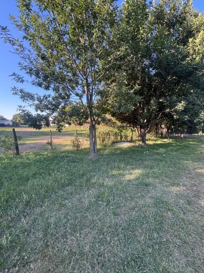 Terrenos - Ricardone - Venta