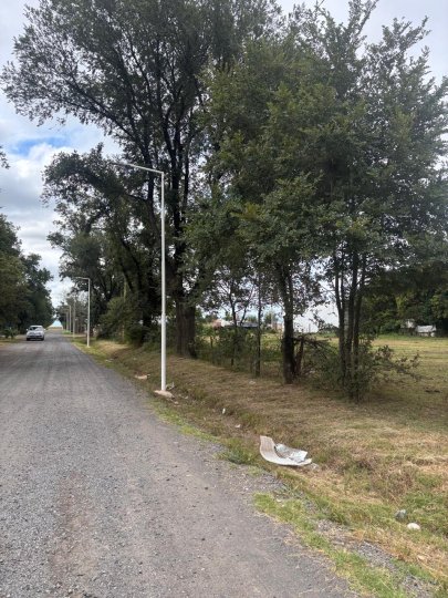 Terrenos - Ricardone - Venta