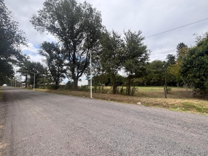 Terrenos - Ricardone - Venta