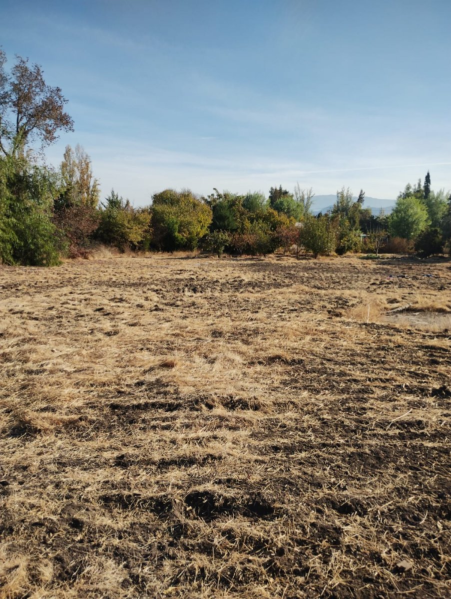 Terreno de 5.400 mt2 en Batuco, Los Guerreros