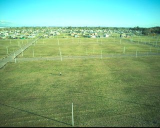 Terrenos - Alvear - Venta