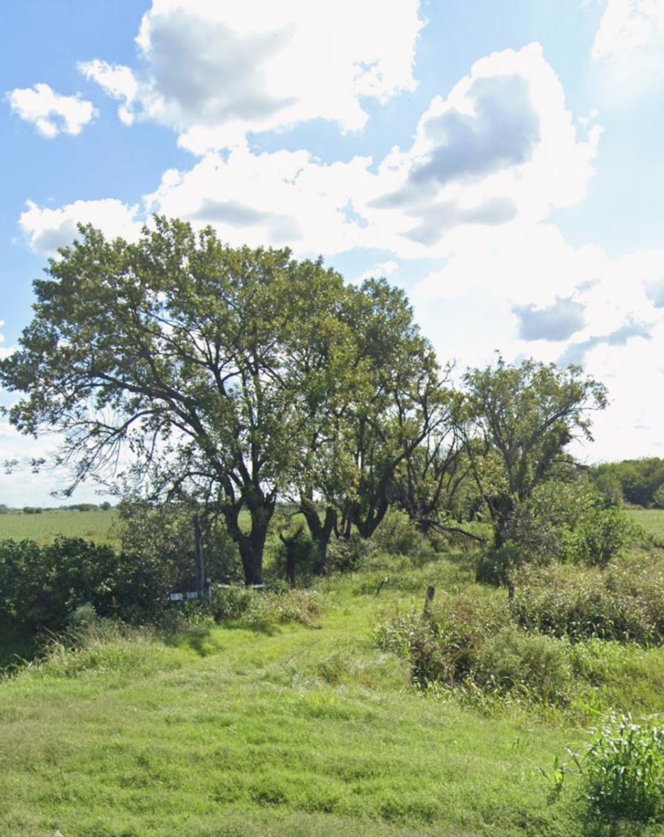 Venta valor por hectárea 60000 campo 30ha – 600 m de frente sobre A012 Roldan — foto 5