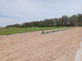 Terrenos - Pi馿ro - Venta
