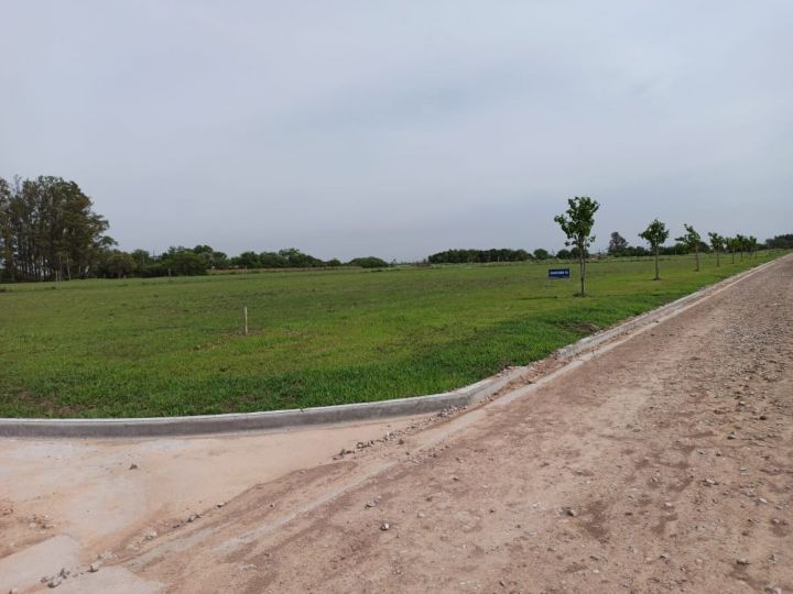 Terrenos - Pi馿ro - Venta
