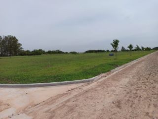 Terrenos - Pi馿ro - Venta