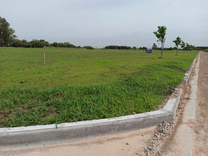 Terrenos - Pi馿ro - Venta