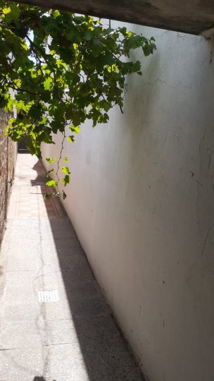 Departamentos - Rosario -  Alquiler