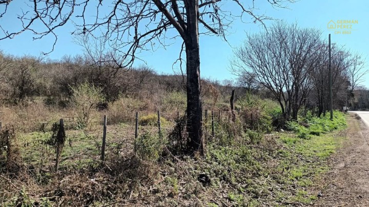 VENDO :1 hectárea camino al pan de azucar !!! ideal proyecto de inversion inmobiliaria.