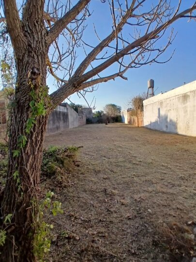 Terrenos - San Lorenzo - Venta