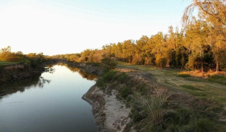 Terrenos - Iriondo - Venta